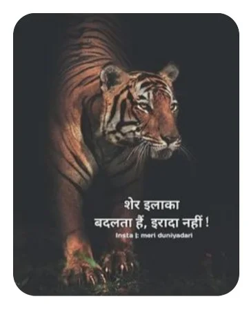 Ajeet Kumar