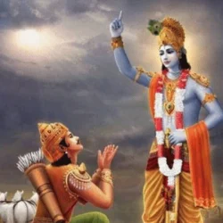 MLM Vijay