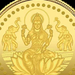 Dr Vibha Sharma
