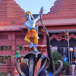 Himanshu Kumar