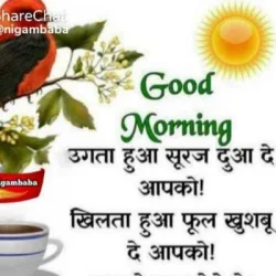Indrajeet CHAUDHARY