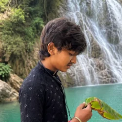 Raushan Roy