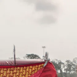MD TAJ