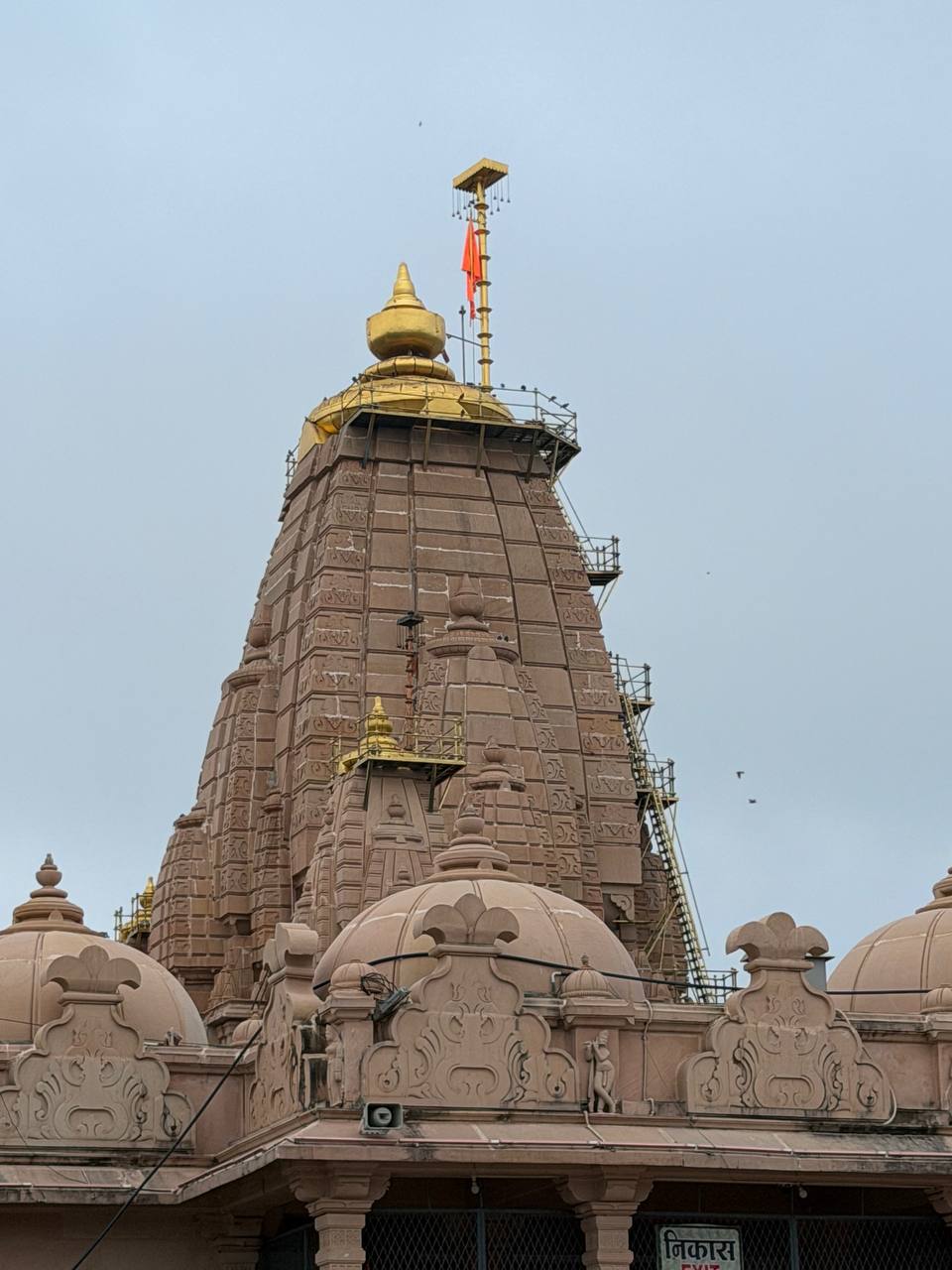 Rohit Kumar Yadav