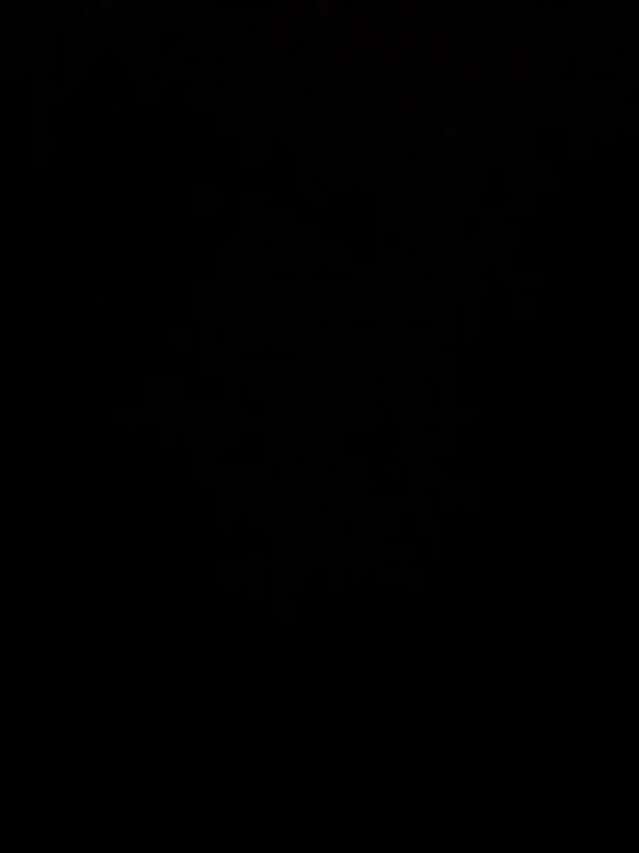 Shehnaaz