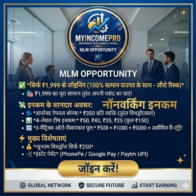 MY INCOME PRO