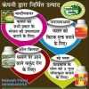 rakesh patel