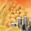 Western India Investment