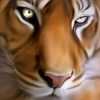 Suraj Patil