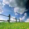SRIKANTH