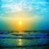Arpan