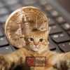 Maria Bitcoin