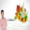 dineshsaini