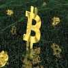 WWW.BITTERTRADE.COM........WORLD WIDE LAUNCHED,,,,,,,100%  Legal & Secrued & Fast Company,,,,Minimum Invest 10$,Maximum No Limit,,,Daily Payout Any Time,,,Direct  Income 0.20% For 17 Months,,,Bosster Income,,,Leval Income 20% ,,,Sign Bouns 25$.