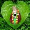 aravind