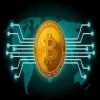 WWW.BITTERTRADE.COM,,,,,,,,New Lanched Company