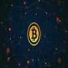 WWW.BITTERTRADE.COM,,,,,,,,BEST PAYING LEGAL COMPANY