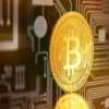  WWW.BITTERTRADE.COM,,,,,,,,,NEW LAUNCHED LEGAL COMPANY 