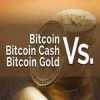 WWW.BITTERTRADE.COM,,,,,New Launched Company,,Sign up Bouns 25 Dollar Get Free