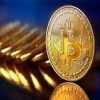 WWW.BITTERTRADE.COM,,,,,,HURRY UP