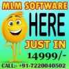 MLM Software Developers