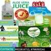 DATTA GHADGE