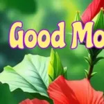 Gopi