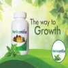 HERBAMAAS BUSINESS SERVICES PVT LTD