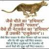 prahlad singh rathore