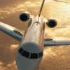 Lufthansa Pet Policy