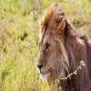 Foot Slopes Tours and Safaris Ltd