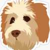 Killiani Pupps Welther