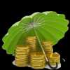 Umbrella Power Innovation