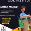 DDK Institute