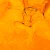 Shivraj