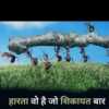 Gajraj Pippal