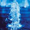 Mayur