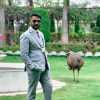 Vikrant Farve