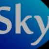 skypanacea