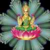 SACHIIEN RAMGGONDAVARU