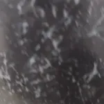 Vinit