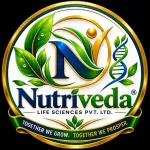 Sundeshwar Kumar