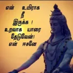 Selvamani V