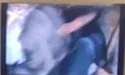 Pendo Princess